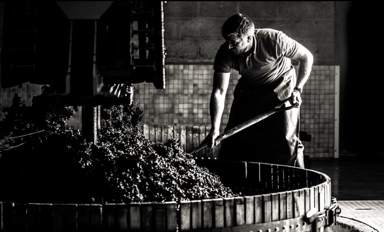 Le pressoir traditionnel en activité – Champagne Clément & Fils