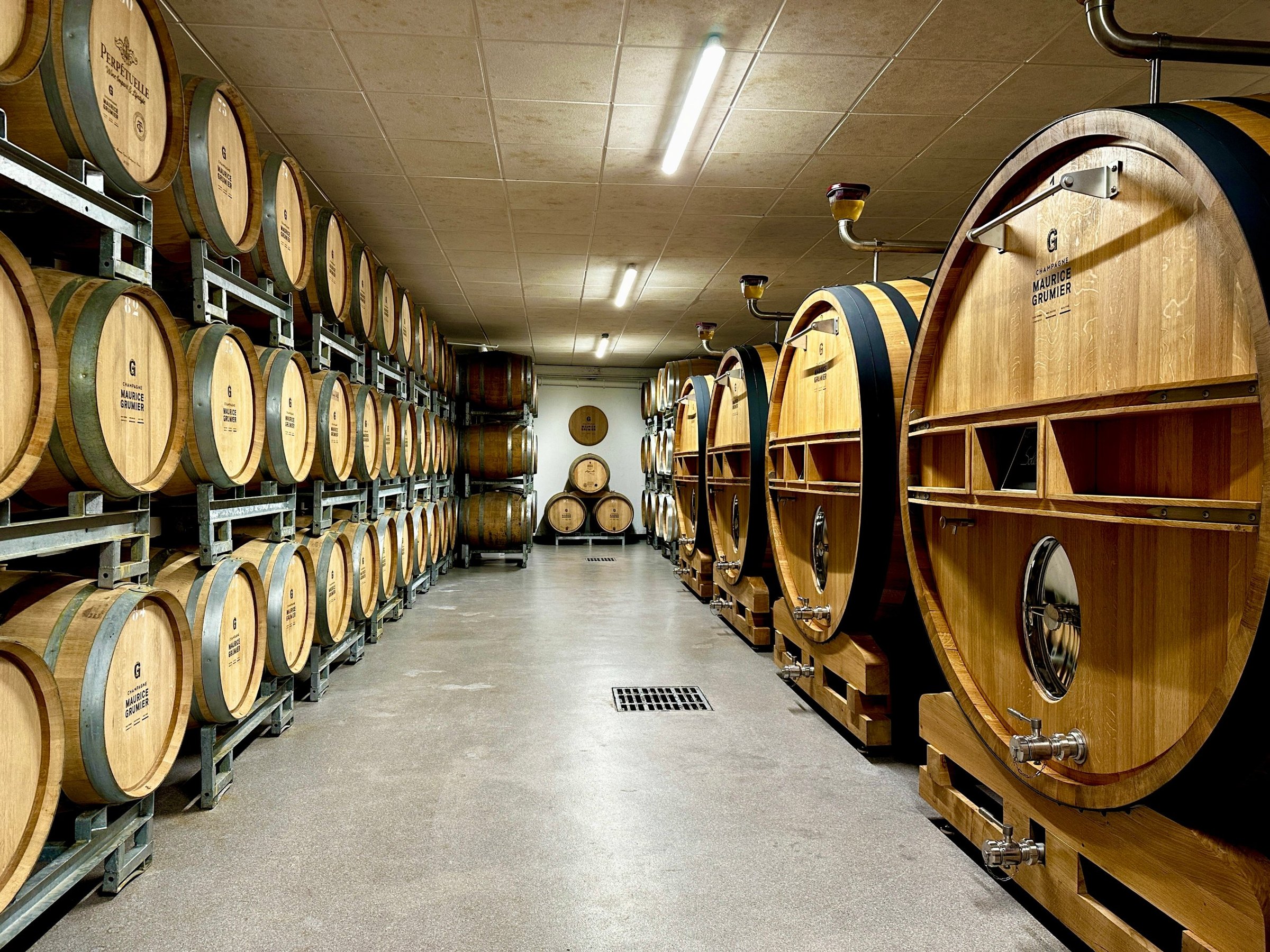 Allée de fûts et de foudres en chêne dans une cave champenoise