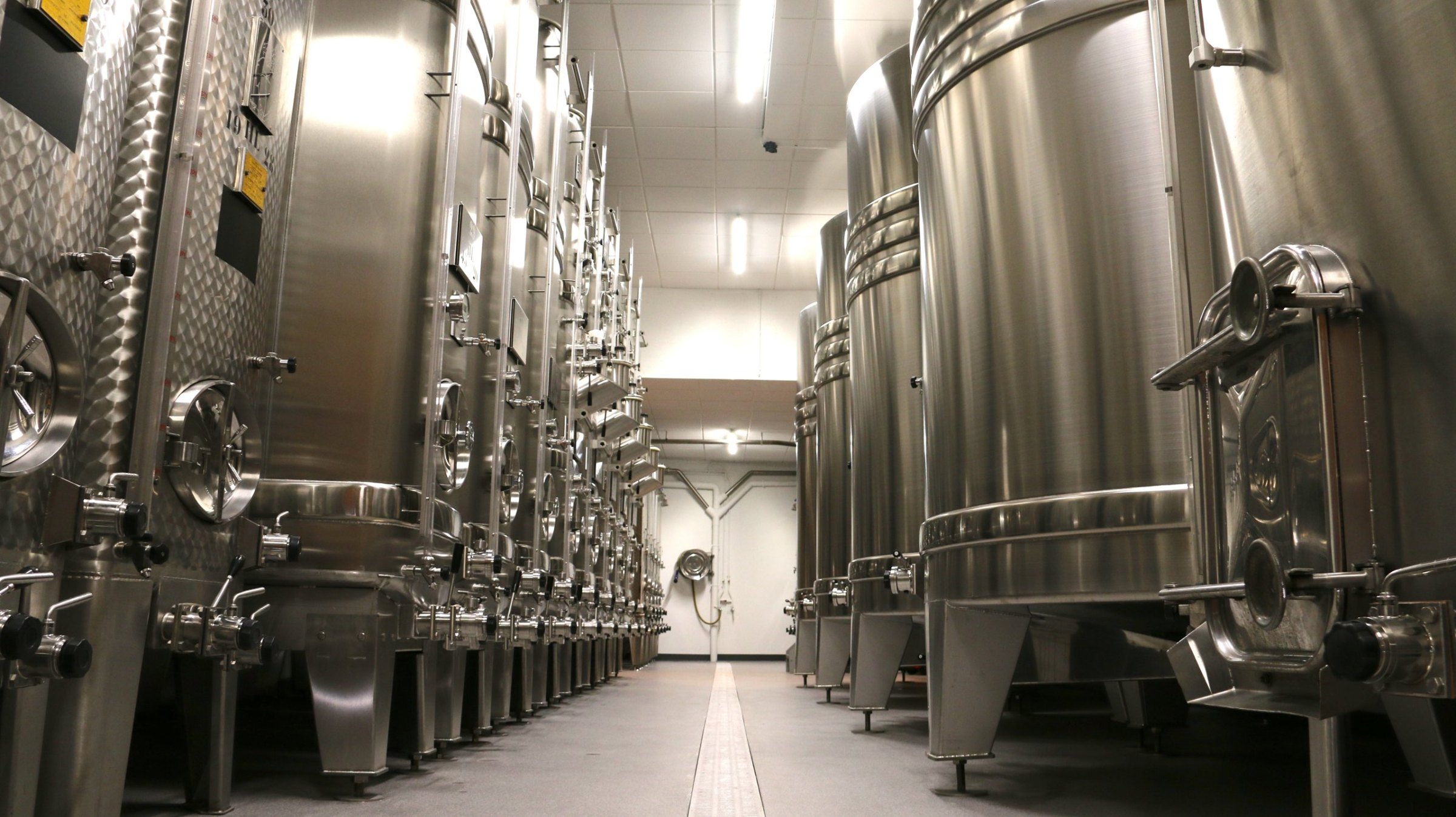 Allée de cuves inox dans une cuverie champenoise