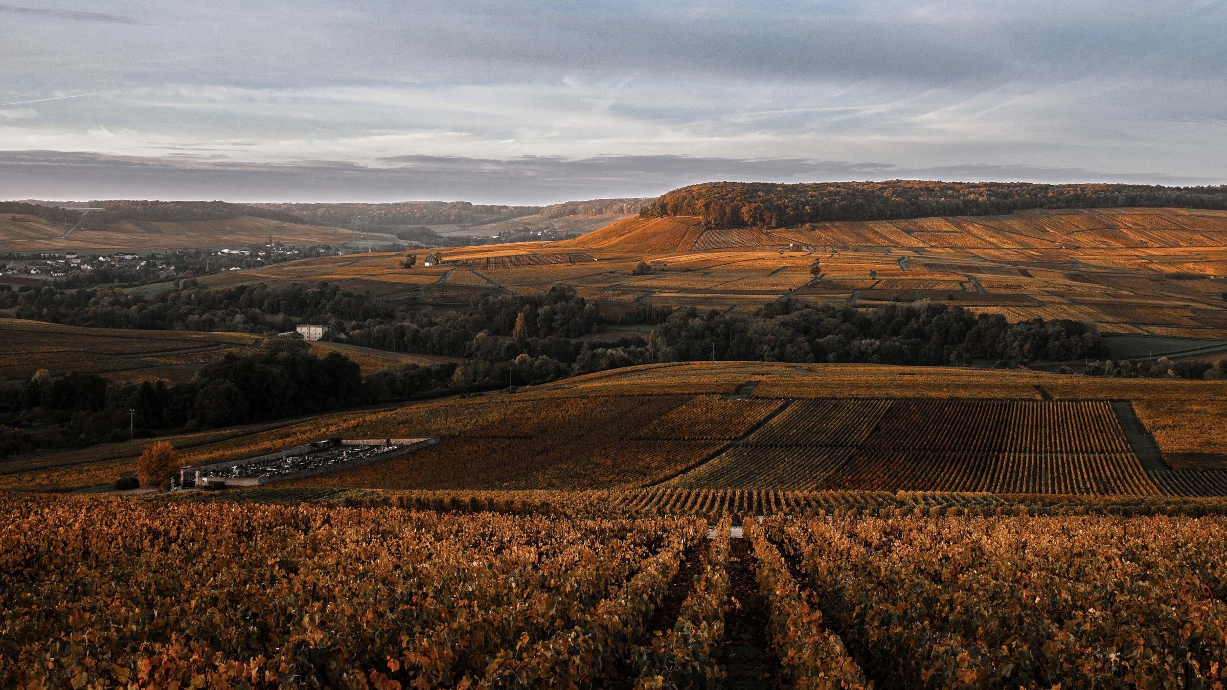 Coteaux de vignes aux couleurs d’automne dans la Vallée de la Marne