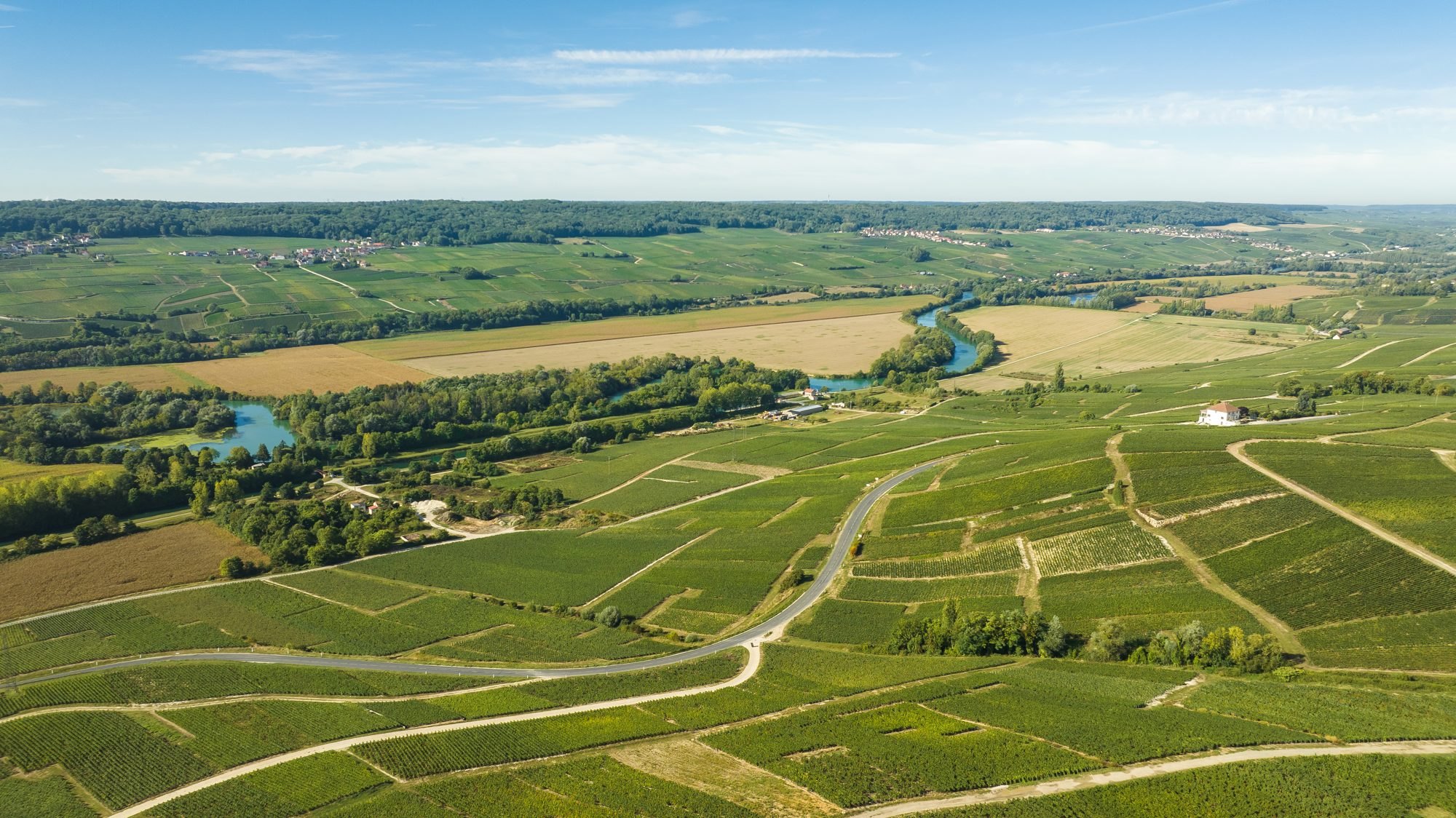 Vue aérienne des coteaux de la Vallée de la Marne pendant les vendanges