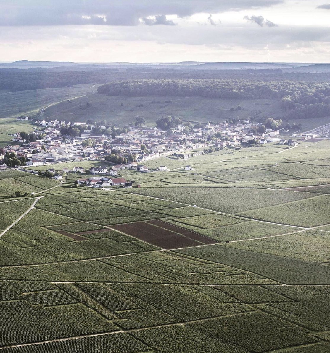 Le village d'Avize au milieu des vignes vu du ciel, Côte des Blancs