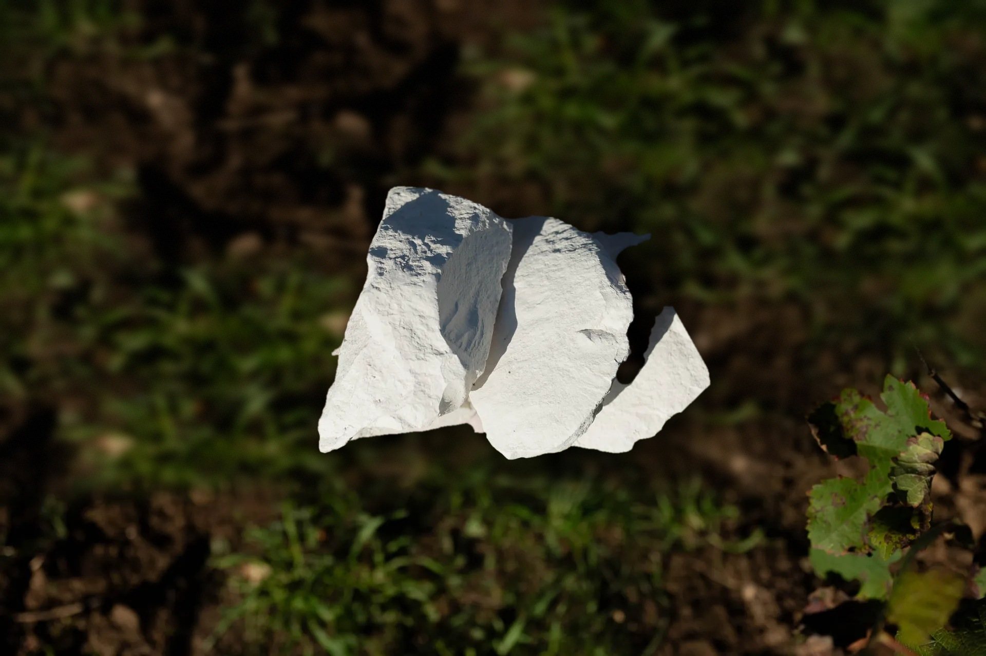 Bloc de craie blanche posé dans une vigne
