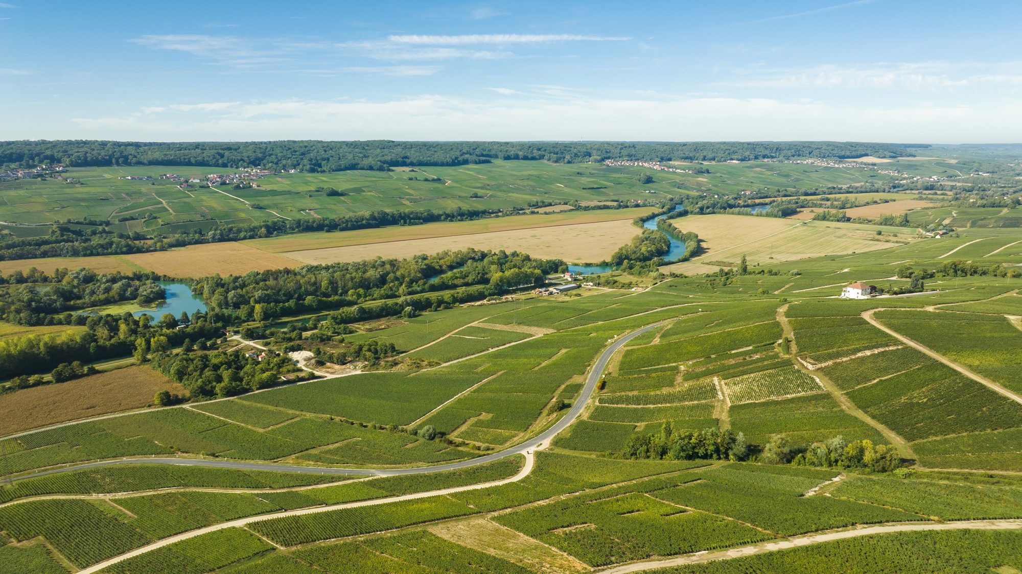 La Marne et ses coteaux de vignes vus du ciel – Champagne Saint Philibert