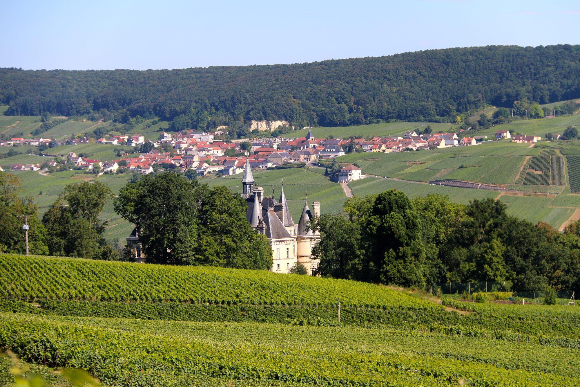 Village, château et coteaux de vignes, Vallée de la Marne